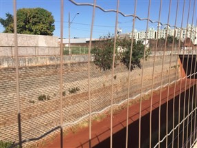 Ouvinte manda fotos e reclama de vegetação que cresce na linha férrea em Maringá